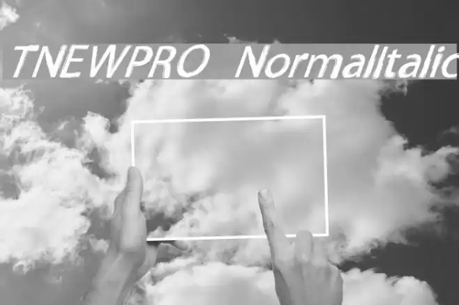 TNEWPRO NormalItalic Шрифта examples