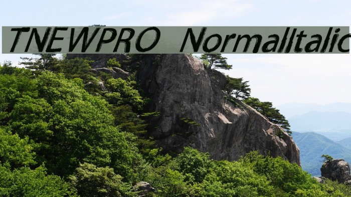 TNEWPRO NormalItalic Font examples