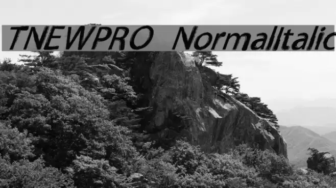 TNEWPRO NormalItalic Шрифта examples