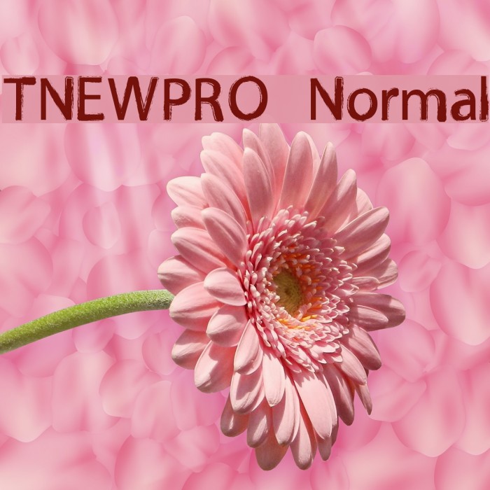 TNEWPRO Normal Font examples
