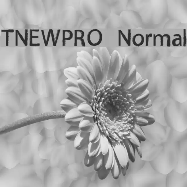 TNEWPRO Normal Font examples