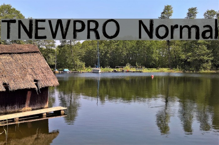 TNEWPRO Normal Font examples