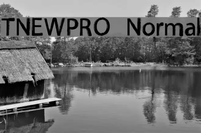 TNEWPRO Normal Font examples