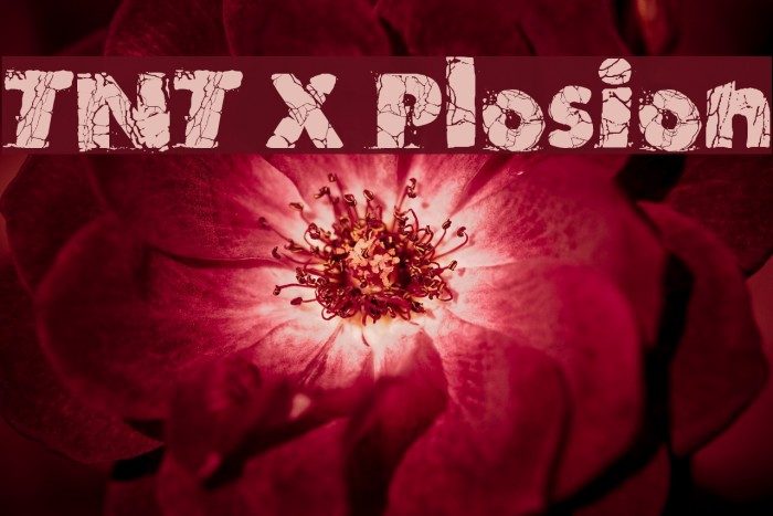 TNT X Plosion Font examples
