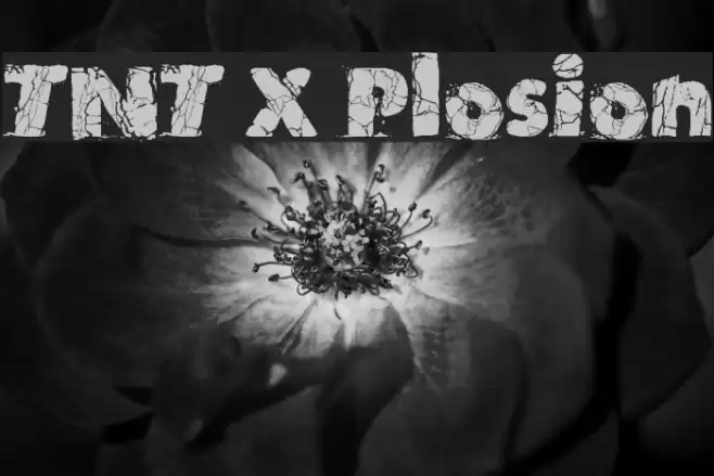 TNT X Plosion Caratteri examples
