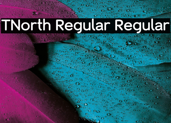 TNorth Regular Regular Example 1