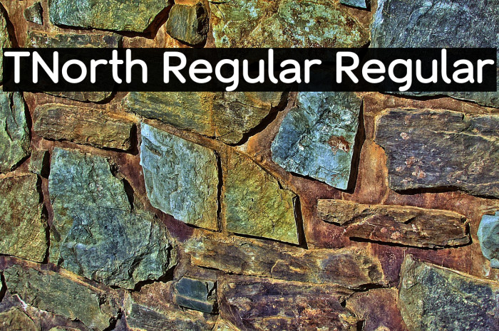 TNorth Regular Regular Example 2