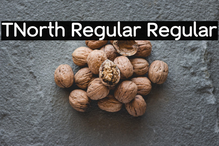 TNorth Regular Regular Example 3