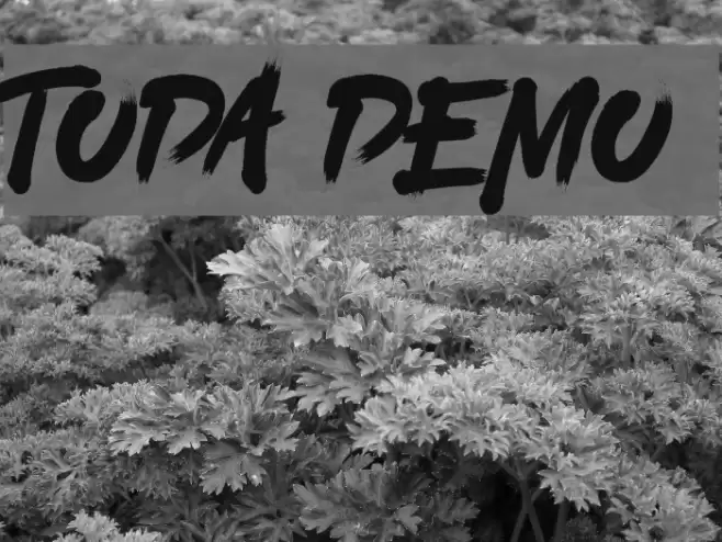 TODA DEMO Font examples