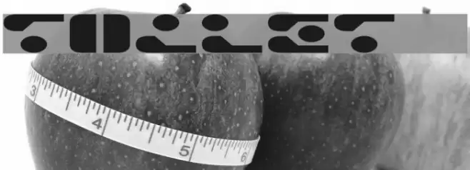 TOILET dsnp Font examples