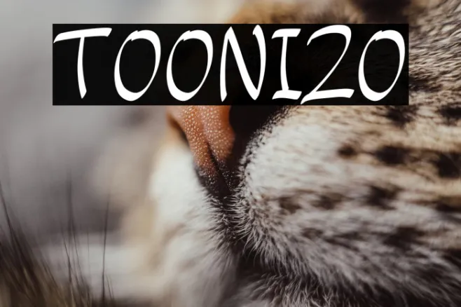 TOONIZO Example 1