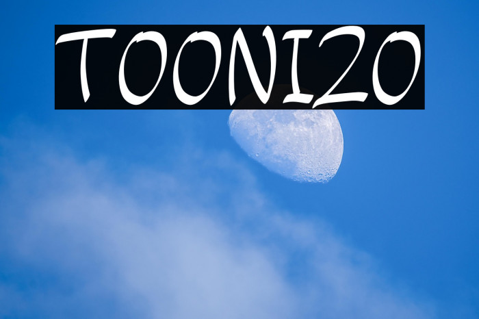TOONIZO Example 2