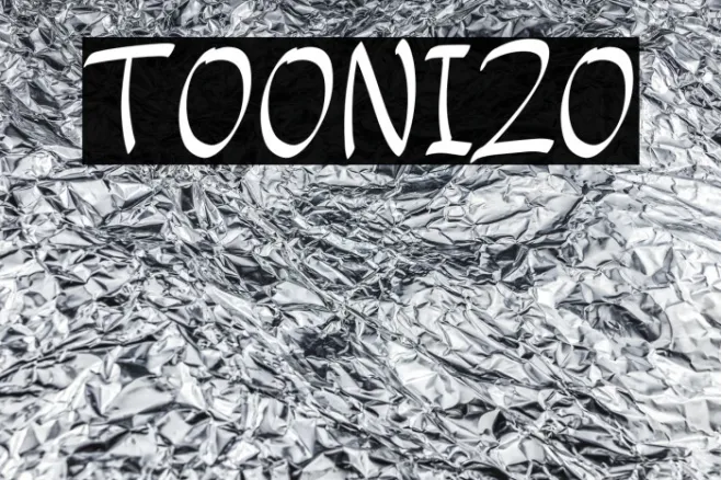 TOONIZO Example 3