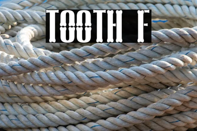 TOOTH Example 1