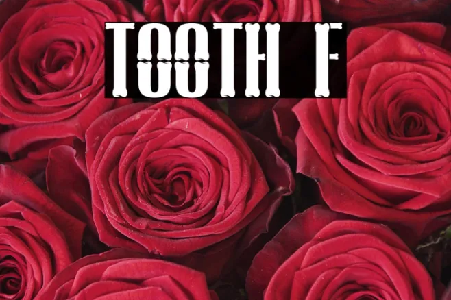 TOOTH Example 2