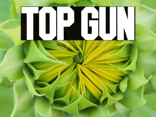 TOP GUN Example 3
