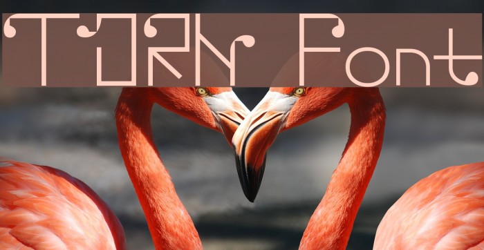 TORN Font examples