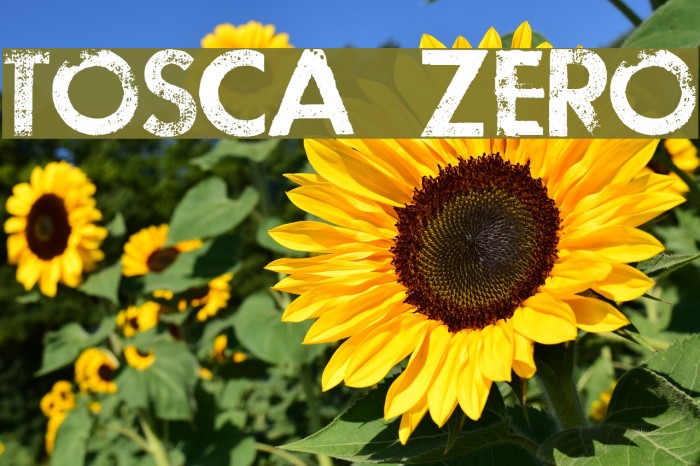 TOSCA ZERO Font examples