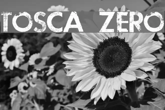 TOSCA ZERO Font examples