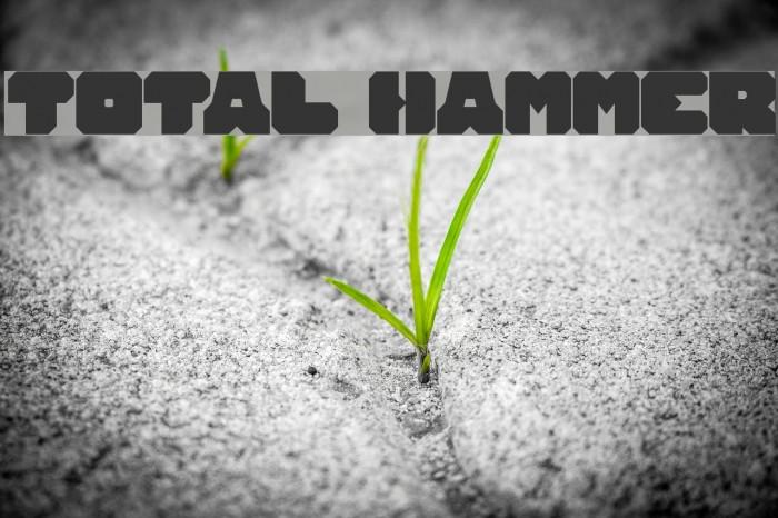 TOTAL HAMMER Font examples