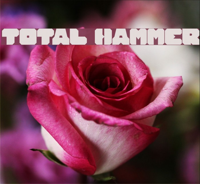 TOTAL HAMMER Font examples