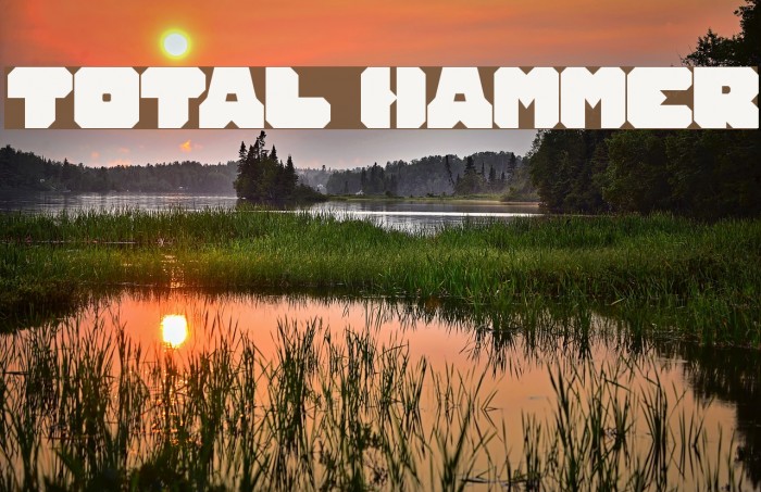 TOTAL HAMMER Font examples