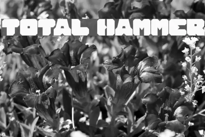 TOTAL HAMMER Font examples
