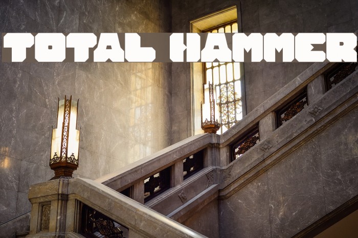 TOTAL HAMMER Polices examples