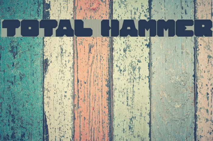 TOTAL HAMMER Polices examples