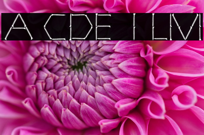 TOTALLY SCREWED Example 3