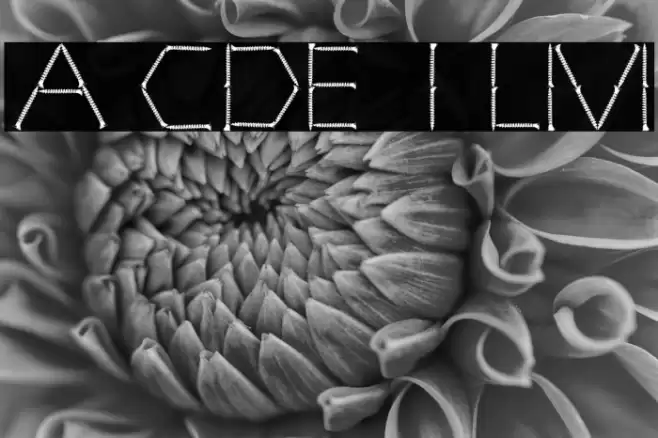 TOTALLY SCREWED フォント examples