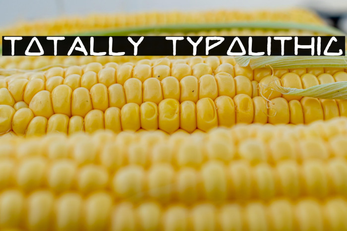 TOTALLY TYPOLITHIC Example 3