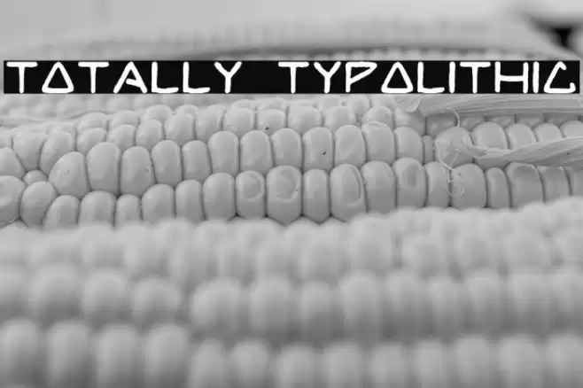 TOTALLY TYPOLITHIC خط examples