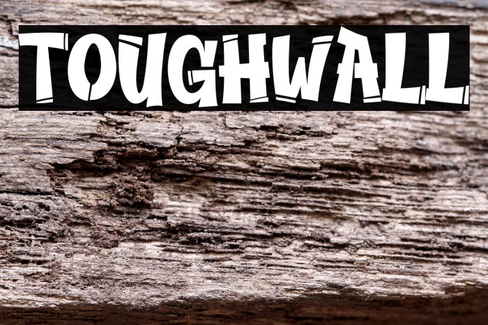 TOUGHWALL Example 1