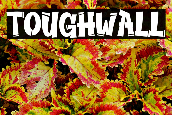 TOUGHWALL Example 2