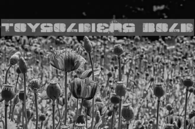 TOY_SOLDIERS  Bold Font examples