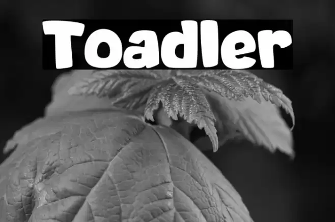 Toadler Schriftart examples