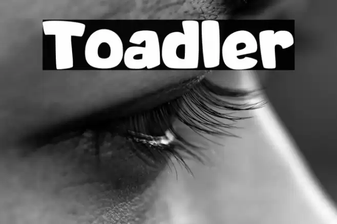 Toadler Schriftart examples