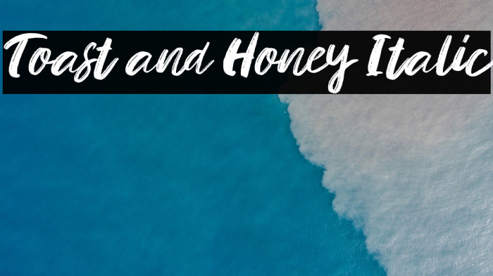 Toast and Honey Italic Example 3