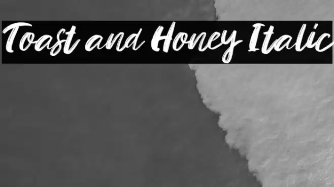 Toast and Honey Italic Font examples