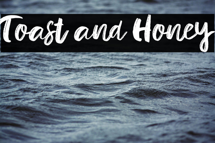 Toast and Honey Example 1