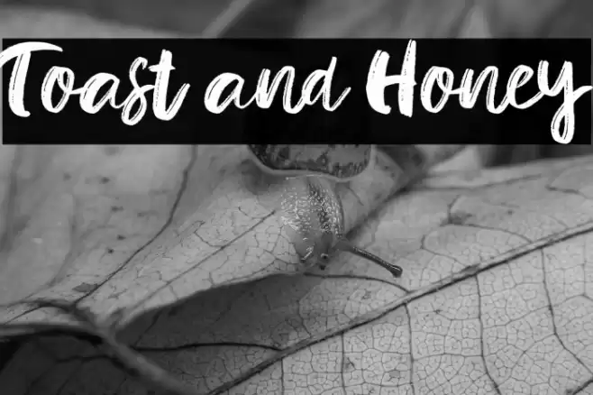 Toast and Honey Font examples