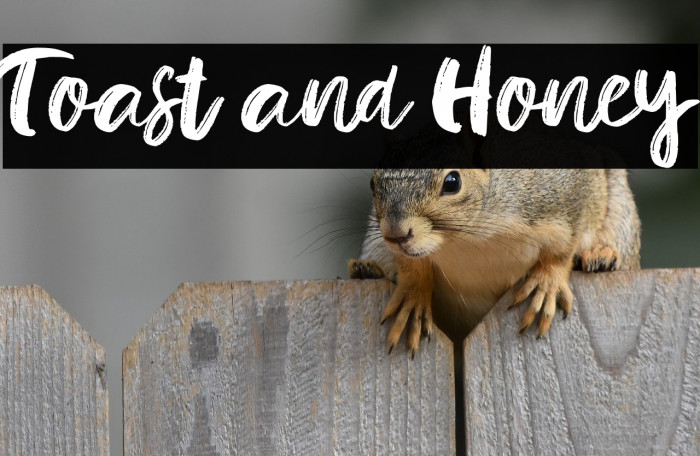 Toast and Honey Example 3