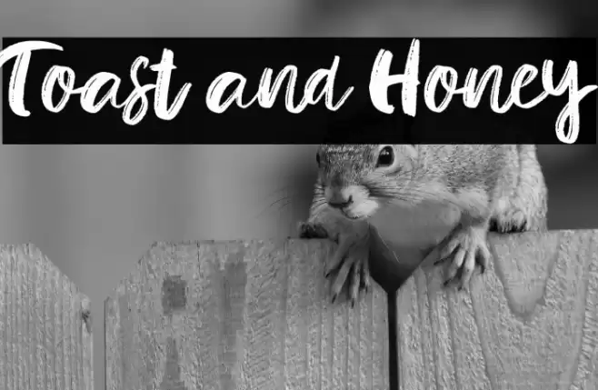 Toast and Honey Font examples