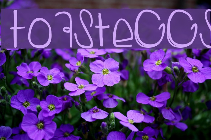 ToastEggs Font examples