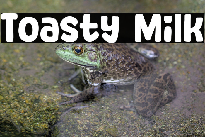 Toasty Milk Example 2