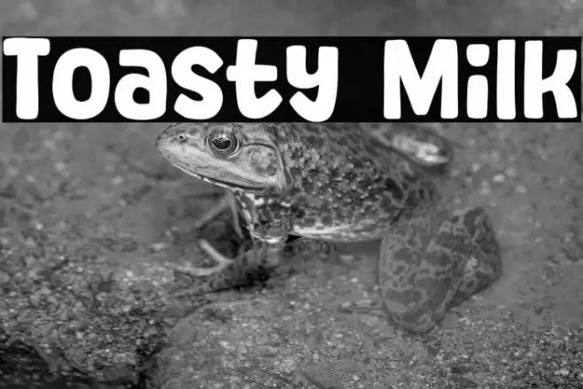 Toasty Milk फ़ॉन्ट examples