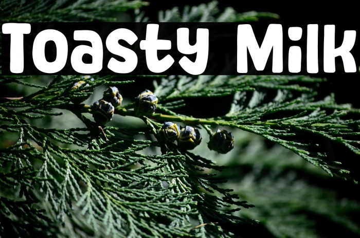 Toasty Milk Example 3