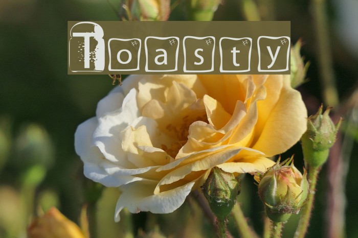 Toasty Font examples