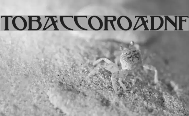 TobaccoRoadNF Font examples